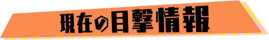 現在の目撃情報